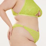 ALIEN-ANIMAL-LACE-BRAZILIAN-UD2250995-3450-3-1200x1600-1.jpg