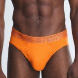 CRUISE-CONTROL-BRIEFS-UD2500649-13327-1-1200x1600-1.jpg