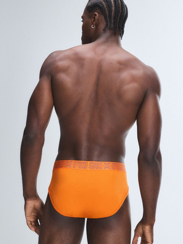 CRUISE-CONTROL-BRIEFS-UD2500649-13327-2-1200x1600-1.jpg