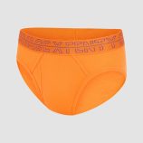 CRUISE-CONTROL-BRIEFS-UD2500649-13327-LAYDOWN-1200x1600-1.jpg