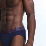 CRUISE-CONTROL-BRIEFS-UD2500649-8802-4-1200x1600-1.jpg