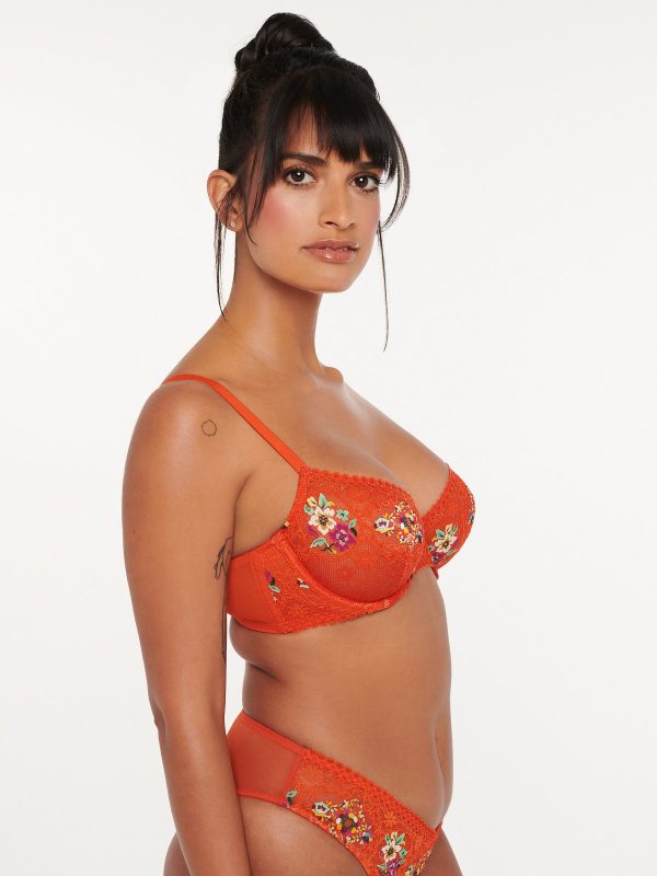 DOLLED-UP-UNLINED-LACE-DEMI-BRA-BA2252228-10765-2-1200x1600-1.jpg