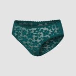 LAVISH-LACE-HIPSTER-PANTY-UD2500506-6909-LAYDOWN-1200x1600-1.jpg