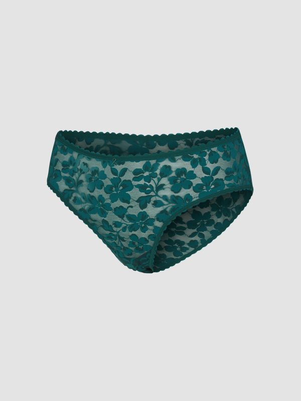LAVISH-LACE-HIPSTER-PANTY-UD2500506-6909-LAYDOWN-1200x1600-1.jpg