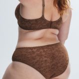 LAVISH-LACE-HIPSTER-PANTY-UD2500507-5581-3-1200x1600-1.jpg
