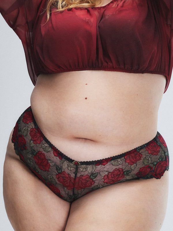 LES-ROSES-LACE-HIPSTER-PANTY-UD2500579-1533-2-1200x1600-1.jpg