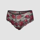 LES-ROSES-LACE-HIPSTER-PANTY-UD2500579-1533-LAYDOWN-1200x1600-1.jpg