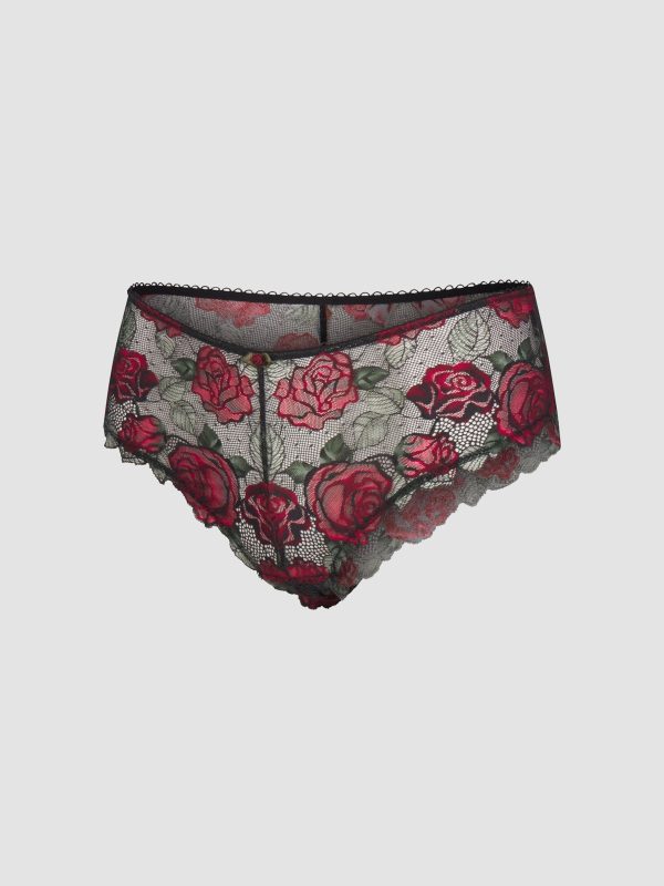 LES-ROSES-LACE-HIPSTER-PANTY-UD2500579-1533-LAYDOWN-1200x1600-1.jpg