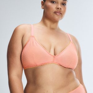 MESH AROUND BRALETTE