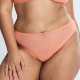MESH-AROUND-CHEEKY-PANTY-UD2500628-13328-1-1200x1600-1.jpg