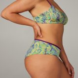 MICROFIBER-HIPSTER-PANTY-UD2355513-6866-3-1200x1600-1.jpg
