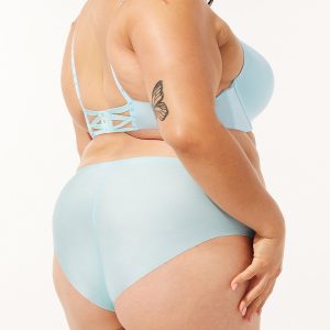 NEW MICROFIBER NO-SHOW HIPSTER PANTY