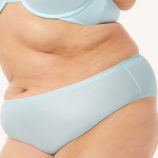 MICROFIBER-NO-SHOW-HIPSTER-PANTY-UD2356829-8746-4-1200x1600-1.jpg