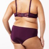 NEW-MICROFIBER-HIPSTER-PANTY-UD2355514-8220-2-1200x1600-1.jpg
