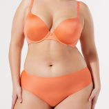 NEW-MICROFIBER-NO-SHOW-HIPSTER-PANTY-UD2356829-11391-2-1200x1600-1.jpg