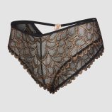 SAVAGE-NOT-SORRY-LACE-CHEEKY-PANTY-UD2042867-11887-LAYDOWN-1200x1600-1.jpg