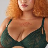 SHADOWPLAY-LACE-UNLINED-PLUNGE-BRA-BA2253432-4985-1-1200x1600-1.jpg