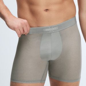 SHEER FOR IT BOXER BRIEFS