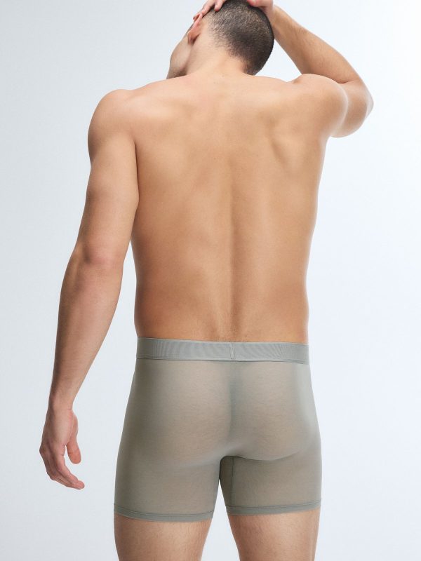 SHEER-FOR-IT-BOXER-BRIEFS-UD2500654-13375-2-1200x1600-1.jpg