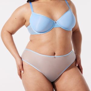 SHEER X CHEEKY PANTY