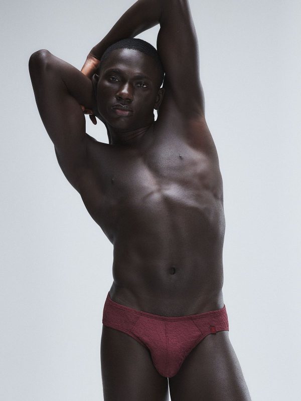 SIGNATURE-SCRIPT-BIKINI-BRIEFS-UD2458529-11836-1-1200x1600-1.jpg