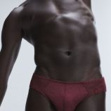 SIGNATURE-SCRIPT-BIKINI-BRIEFS-UD2458529-11836-4-1200x1600-1.jpg