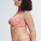 SUNRAY-LACE-PLUNGE-BRA-BA2500559-12496-3-1200x1600-1.jpg